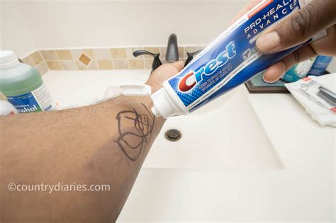 How To Get Permanent Marker Off Skin In 8 Easy Ways Country Diaries