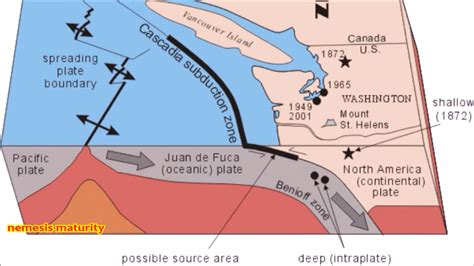 Tectonic Plate Formation And Destruction Information Revealed By