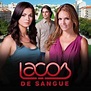 akymusica: NOVELA - LAÇOS DE SANGUE - Capítulo 1