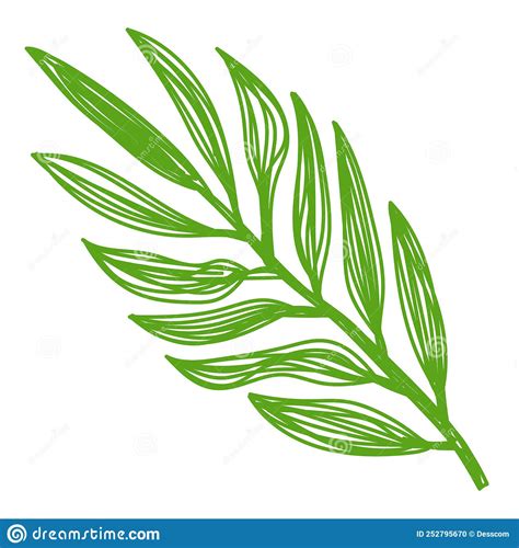 Green Leaf Sketch Hand Drawn Vector Illustration Stock Vector