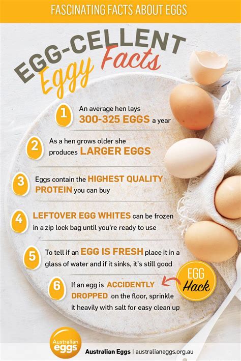 Boiled Egg Nutrition Egg Nutrition Facts Healthy Food Facts