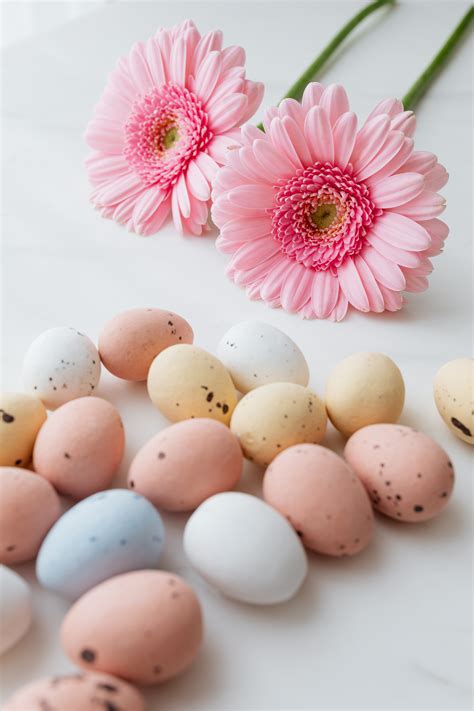 Easter Eggs And Pink Flowers · Free Stock Photo