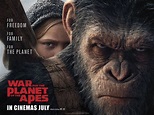 MOVIE REVIEW: War for the Planet of the Apes Will Have You Rooting ...