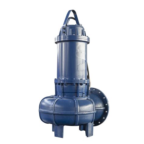 Large Capacity Submersible Electric Pump For Landfill Waste Water