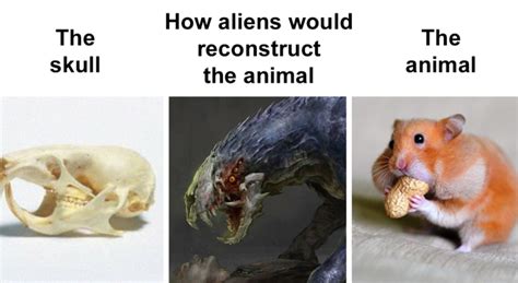 20 Alien Interpretations Of Animal Skulls Vs How They Really Look Like