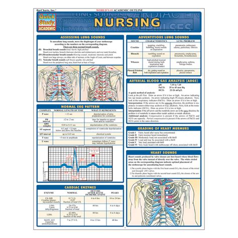 Quickstudy Laminated Reference Guides Nursing