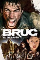 [Gratis Ver] Bruc: el desafío (2010) Película Estreno Español Latino ...