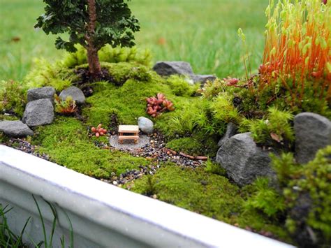 Miniature Moss Gardening ‣ The Mini Garden Guru