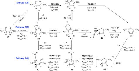 Paal Knorr Synthesis Of Thiophene - Mechanism of the Paal–Knorr reaction: the importance of water mediated