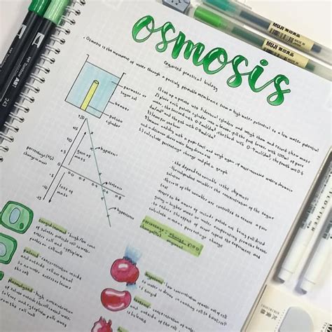 Chemistry Notes Biology Notes Science Notes Science Experiments Kids