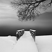 Le delicate foto in bianco e nero di Vassilis Tangoulis | Collater.al