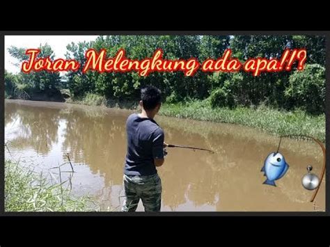 Sepertinya Ikan Disini Sudah Tidak Makan Setahun YouTube