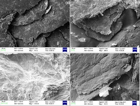 Morphological Investigation With Sem A Gt B Gto C Go And D