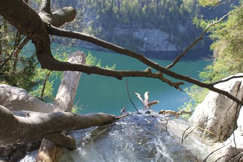 Er ist ein extrem beliebtes fotomotiv: Probleme mit Selfie-Touristen: Teil des Nationalparks ...