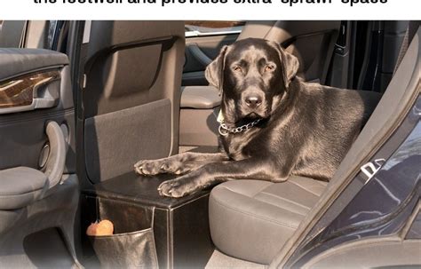 Backseat Extender For Dogs With Storage Truck Dash Cam