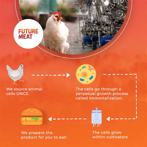 5 Cultured Meat Advantages Cultivating The Future Of Meat Future Meat