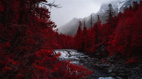 Waterfall Stream Between Red Leafed Autumn Trees Forest Landscape View