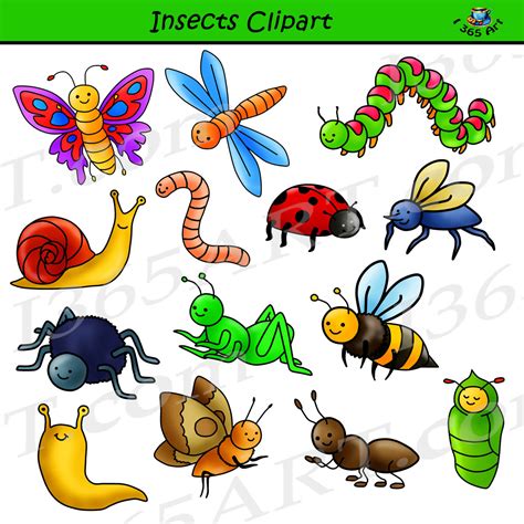 Insect Clipart Set Commercial Use Graphics Clipart 4 School