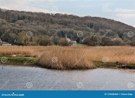 A View Of Leighton Moss Nature Reserve In Lancashire Stock Photo