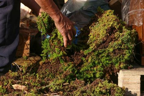 La Sep Y Semarnat Presentan La Serie “el Cambio Climático Nos Toca