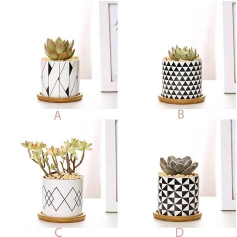 Succulent Plant Pots With Bamboo Tray 3 Inch Geometry Etsy