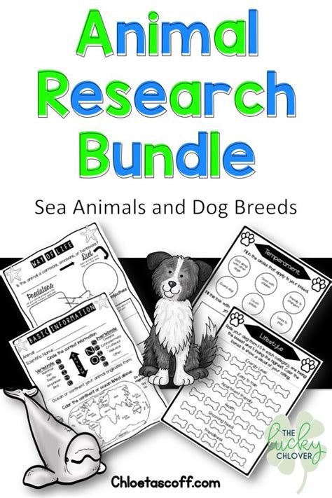 Animal Research Project Animal Research Bundle Animal Research