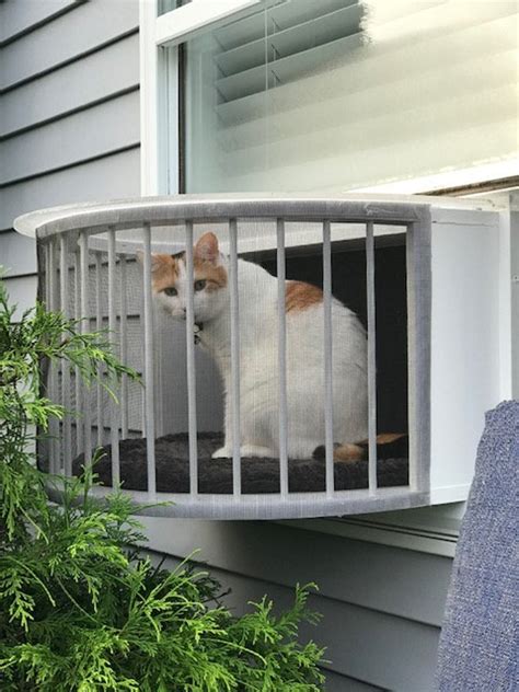 Cat Solarium The Veranda Package The Ultimate Cat Window Box Cat