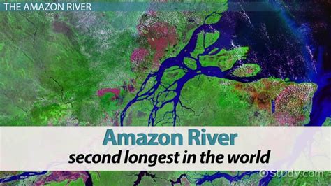 Amazon River Facts Location And Characteristics Lesson