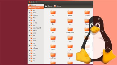 Sistema De Directorios De Linux ¿qué Es Funcionamiento 2024