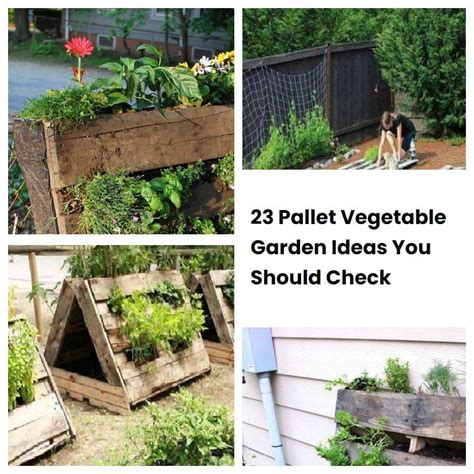 23 Pallet Vegetable Garden Ideas You Should Check Sharonsable