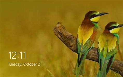 Free Download Bing Homepage Picture As Windows Lock Screen Background