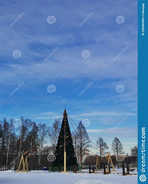 Christmas Tree In The Park In Winter Stock Image Image Of Holiday