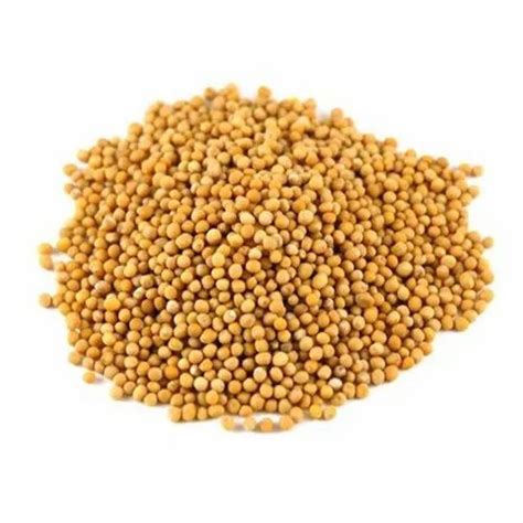 Mustard Seeds At Best Price In Ahmedabad By Rdm Exports Id 22688002362