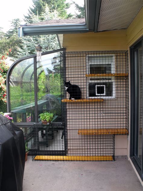 Outdoor Cat Enclosure With Greenhouse Beautiful World Living Environments Abeautifulwor