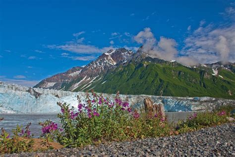 The Locals Guide To Hiking Alaskas Chugach National Forest