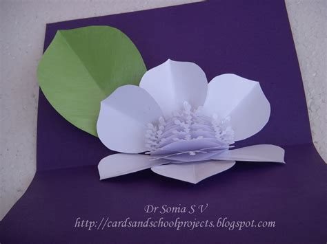 They are great for any occasion. Cards ,Crafts ,Kids Projects: Honeycomb Flower Pop Up Card ...