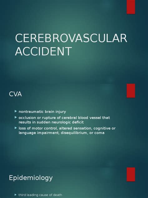 Cerebrovascular Accident Pptpptx Anatomical Terms Of Motion Thalamus