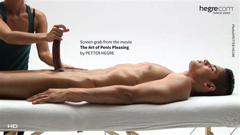 The Art Of Penis Pleasing