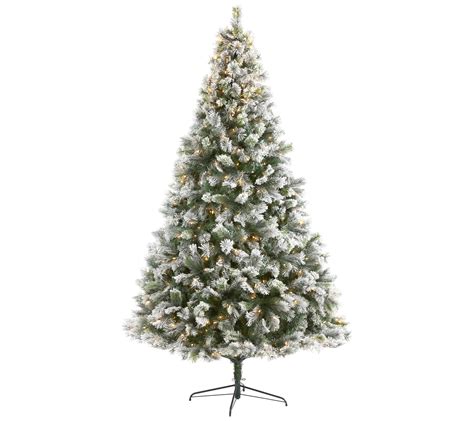 9 Lit Flocked Oregon Pine Christmas Tree By Nearly
