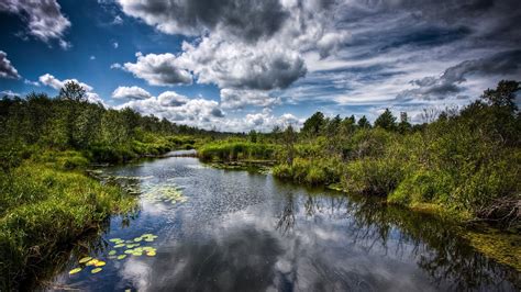 38 Hd Mountain Stream Wallpaper On Wallpapersafari