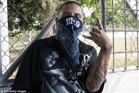 Obama Administration Knowingly Let Ms 13 Gang Into Us Daily Mail Online
