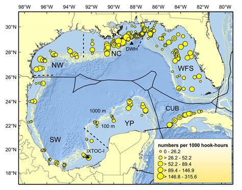 Assessing Marine Life 8 Yrs After Massive Gulf Of Mexico Oil Spill