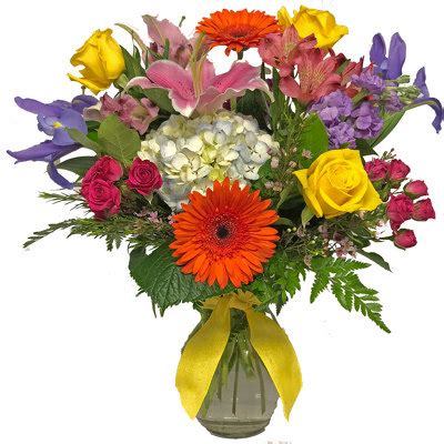 Maybe you would like to learn more about one of these? Florist Knoxville Tn 37920 : Clinton Florist Oak Ridge ...