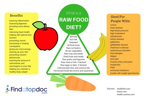 What Is A Raw Food Diet Food Avoid And Eat Infographic