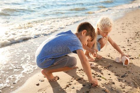 413 Beach Children Shells Water Stock Photos Free And Royalty Free