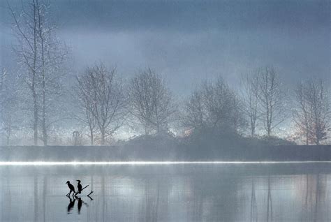 Brume Matinale Sur La Rance Photo Et Image Paysages Paysages De