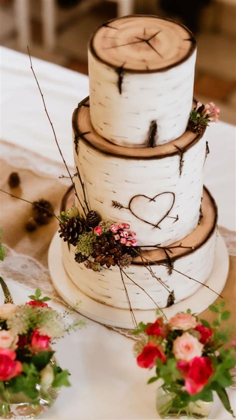 The Perfect Cake For A Rustic Wedding Birch Bark Wedding Cake With