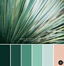 an agave-inspired color palette — Akula Kreative