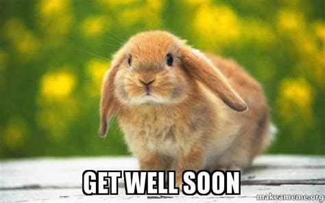 40 Funny Get Well Soon Memes To Cheer Up Your Dear One Artofit