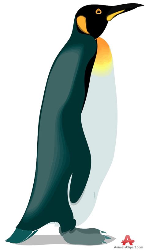 King Penguin Clipart Clip Art Library